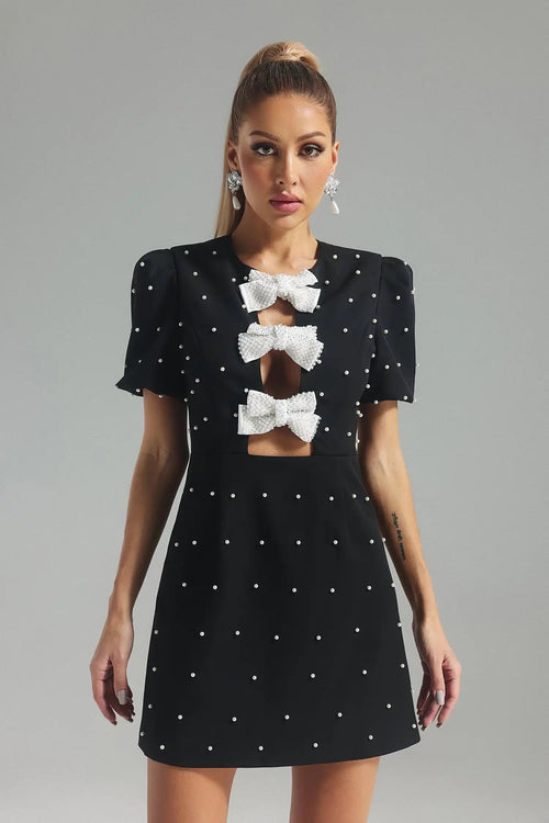 Siri Mini Dress Winteres